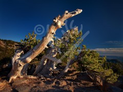 CALIFORNIA Mount Lassen National Park